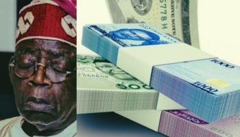 Why is the Naira steadily crashing under Tinubu?
